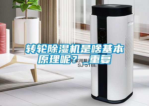轉(zhuǎn)輪除濕機(jī)是啥基本原理呢？_重復(fù)