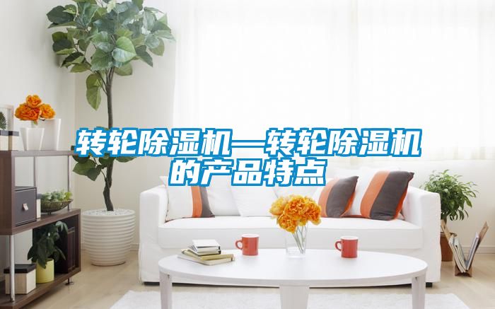 轉(zhuǎn)輪除濕機(jī)—轉(zhuǎn)輪除濕機(jī)的產(chǎn)品特點