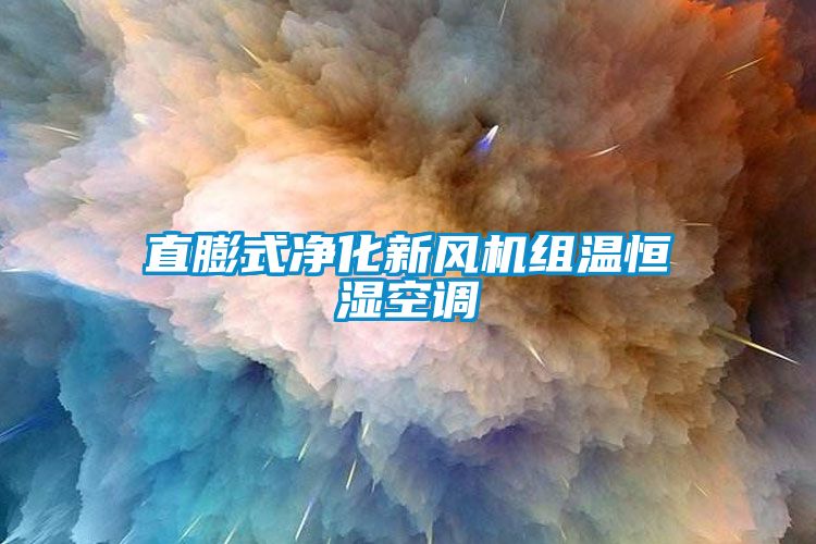 直膨式凈化新風機組溫恒濕空調