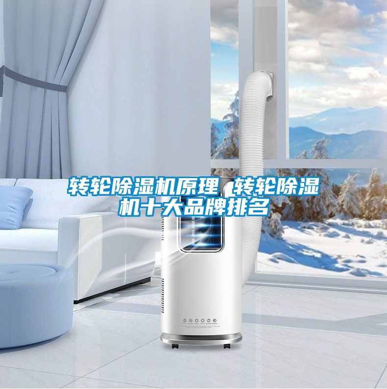 轉輪除濕機原理 轉輪除濕機十大品牌排名