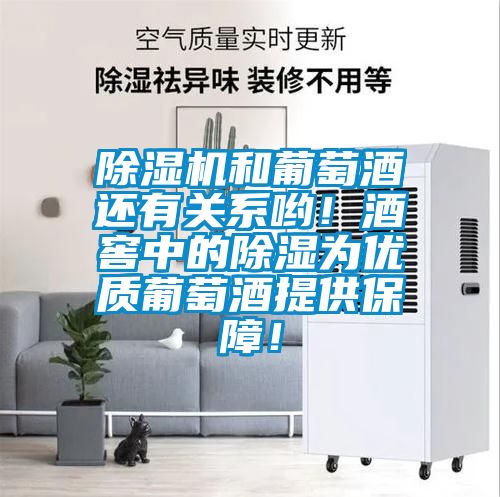 除濕機和葡萄酒還有關(guān)系喲！酒窖中的除濕為優(yōu)質(zhì)葡萄酒提供保障！