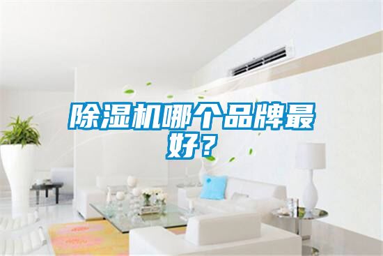 除濕機(jī)哪個品牌最好？