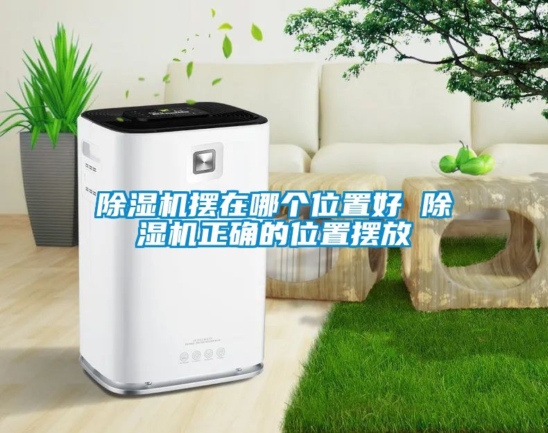 除濕機擺在哪個位置好 除濕機正確的位置擺放