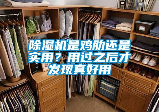 除濕機(jī)是雞肋還是實(shí)用？用過之后才發(fā)現(xiàn)真好用