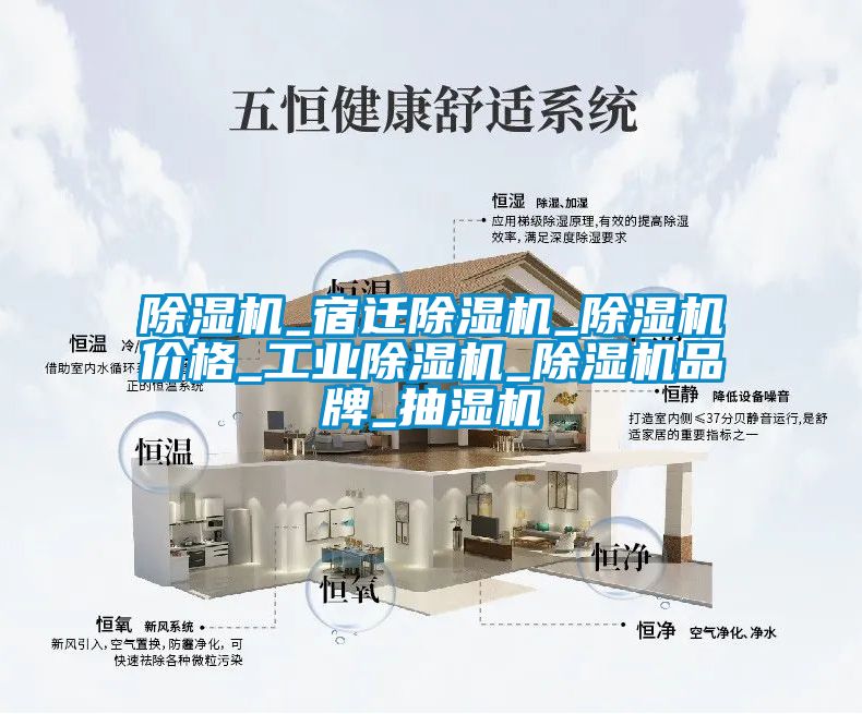 除濕機_宿遷除濕機_除濕機價格_工業除濕機_除濕機品牌_抽濕機