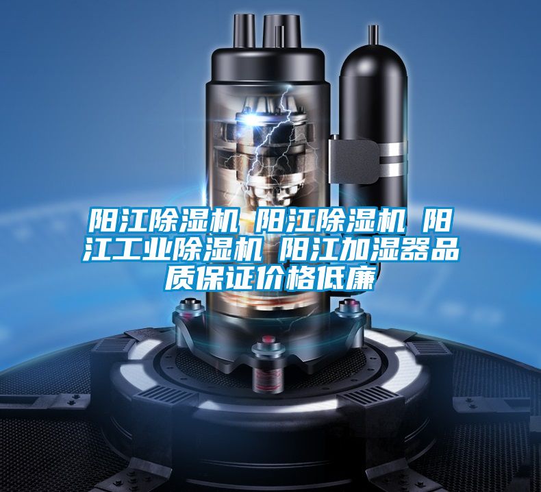 陽江除濕機☆陽江除濕機☆陽江工業除濕機☆陽江加濕器品質保證價格低廉