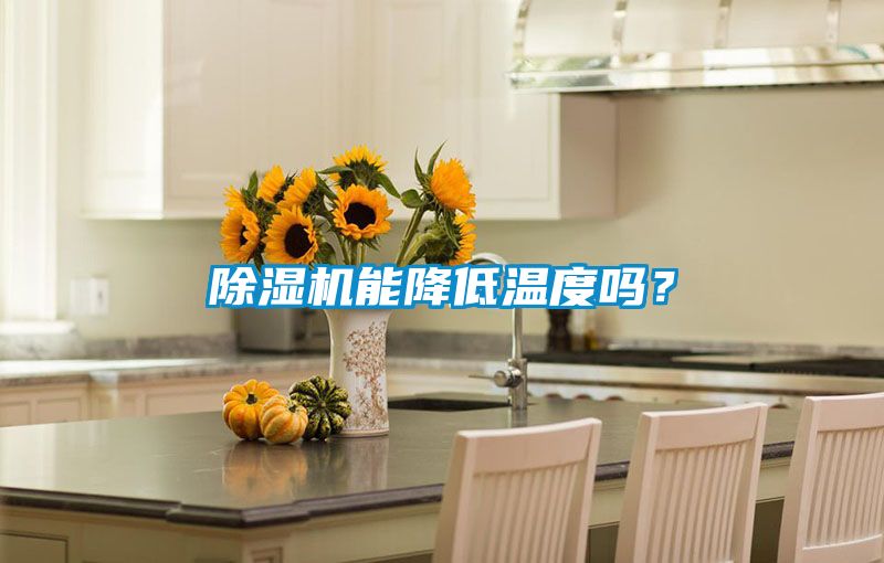 除濕機(jī)能降低溫度嗎？