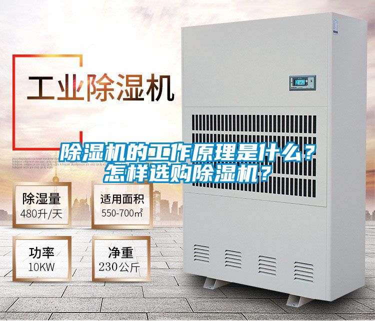 除濕機的工作原理是什么？怎樣選購除濕機？
