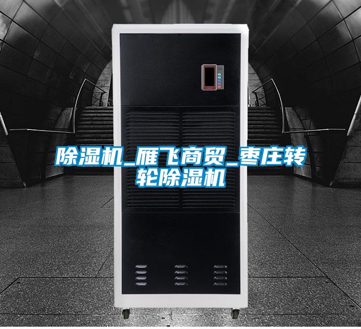 除濕機_雁飛商貿_棗莊轉輪除濕機