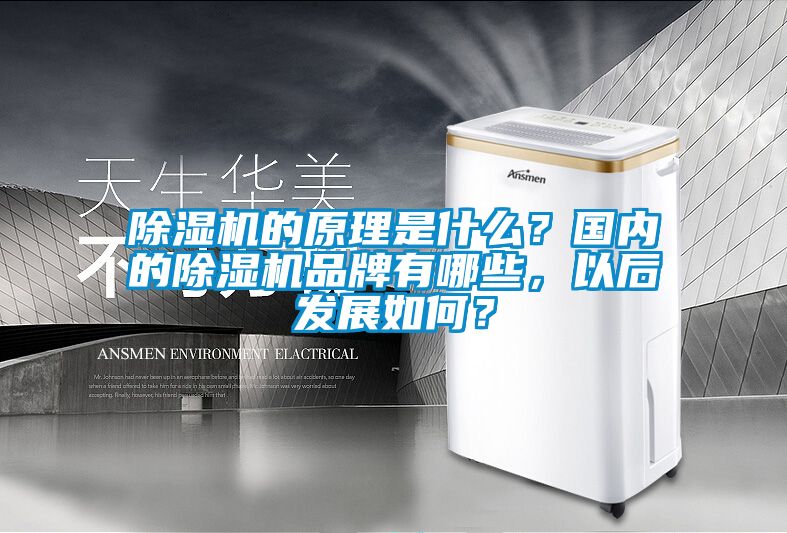 除濕機的原理是什么？國內的除濕機品牌有哪些，以后發展如何？