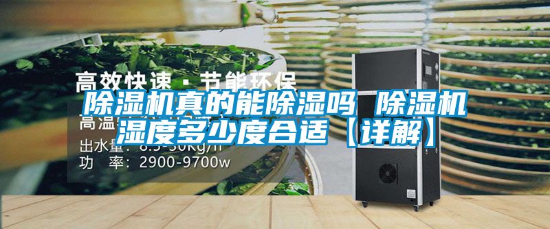 除濕機(jī)真的能除濕嗎 除濕機(jī)濕度多少度合適【詳解】