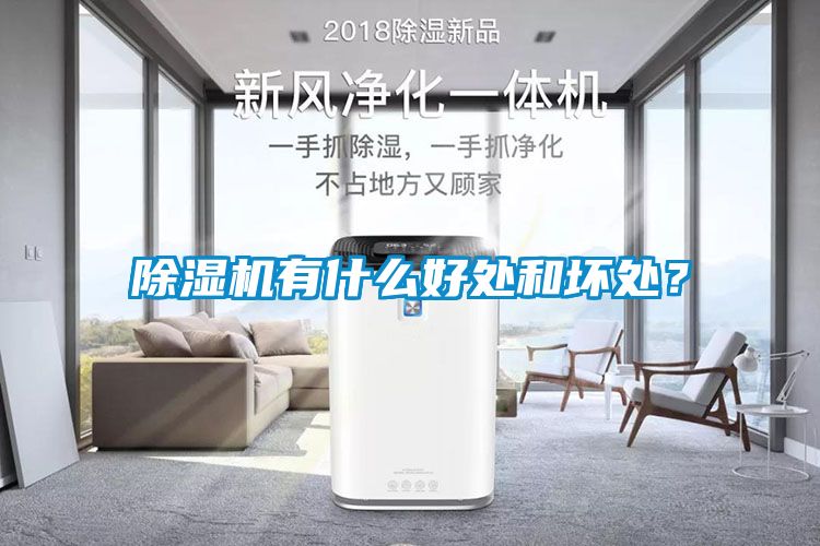 除濕機(jī)有什么好處和壞處？