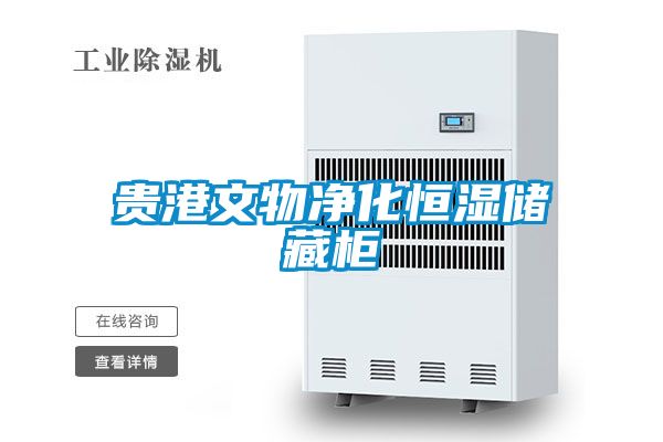 貴港文物凈化恒濕儲藏柜