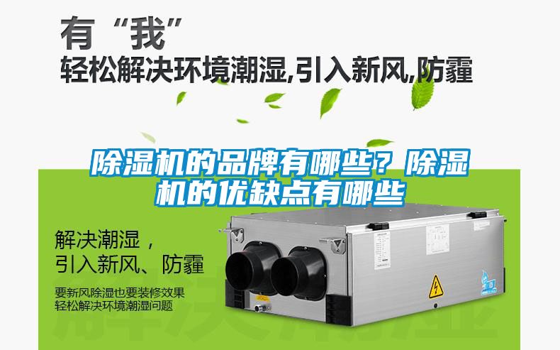除濕機的品牌有哪些？除濕機的優缺點有哪些