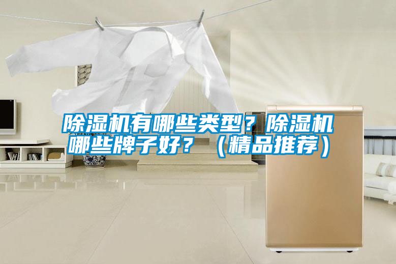 除濕機(jī)有哪些類型？除濕機(jī)哪些牌子好？（精品推薦）