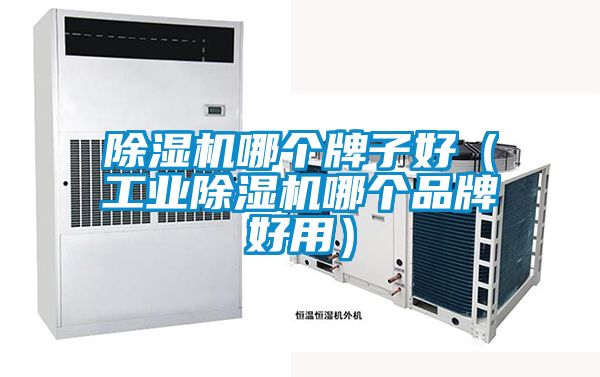 除濕機哪個牌子好（工業(yè)除濕機哪個品牌好用）