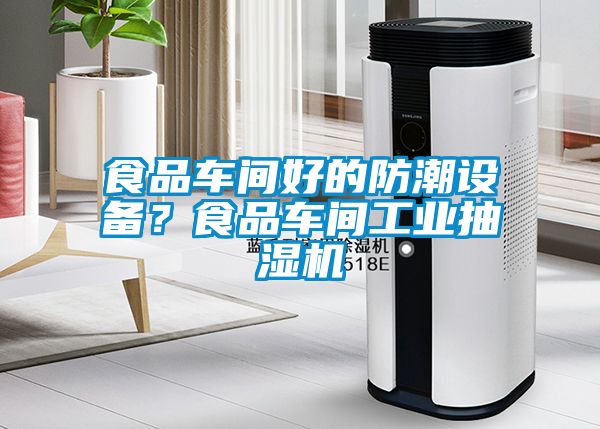 食品車間好的防潮設備？食品車間工業抽濕機