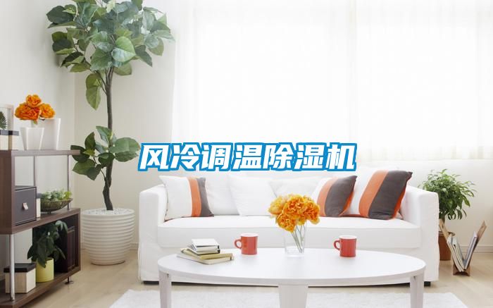 風冷調(diào)溫除濕機