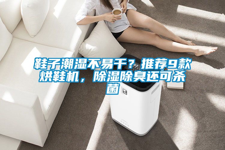 鞋子潮濕不易干？推薦9款烘鞋機，除濕除臭還可殺菌