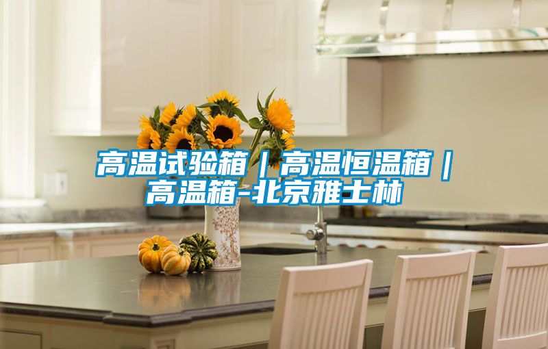 高溫試驗箱｜高溫恒溫箱｜高溫箱-北京雅士林