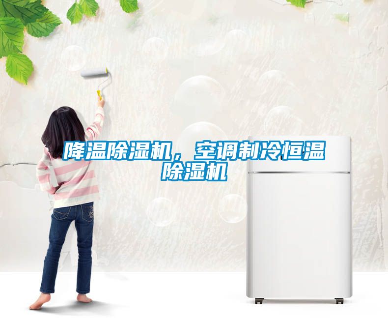 降溫除濕機，空調制冷恒溫除濕機