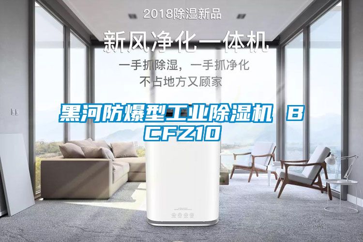 黑河防爆型工業除濕機 BCFZ10