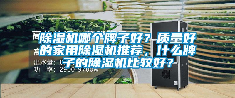 除濕機哪個牌子好？質量好的家用除濕機推薦，什么牌子的除濕機比較好？