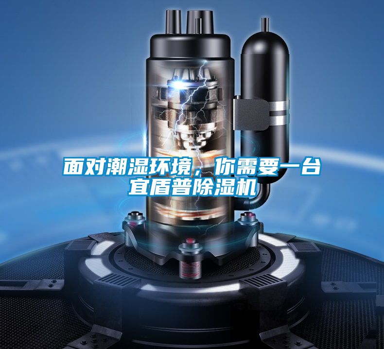 面對(duì)潮濕環(huán)境，你需要一臺(tái)宜盾普除濕機(jī)