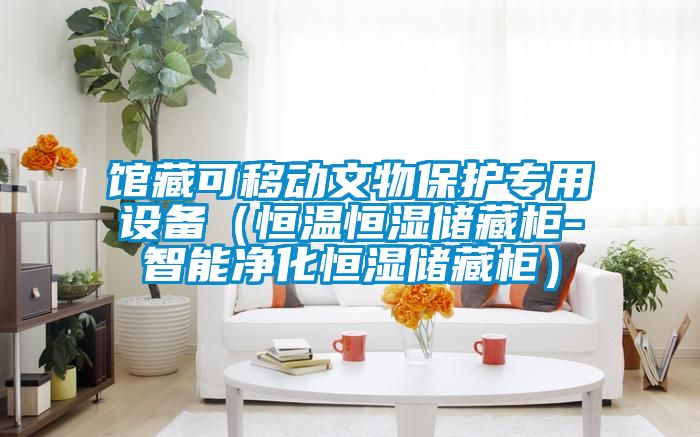 館藏可移動文物保護專用設備（恒溫恒濕儲藏柜-智能凈化恒濕儲藏柜）