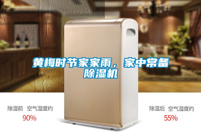 黃梅時(shí)節(jié)家家雨，家中常備除濕機(jī)