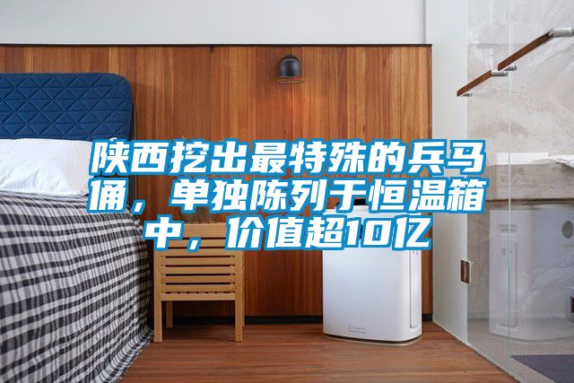 陜西挖出最特殊的兵馬俑，單獨陳列于恒溫箱中，價值超10億