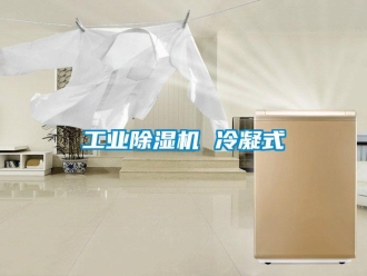 常見問題工業除濕機 冷凝式