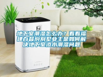 企業(yè)新聞地下室潮濕怎么辦？看看福建百督府別墅業(yè)主是如何解決地下室滲水潮濕問題