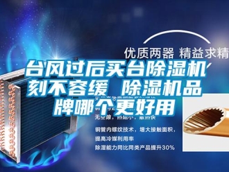 企業新聞臺風過后買臺除濕機刻不容緩 除濕機品牌哪個更好用