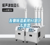 友奧除濕機現h1是什么意思