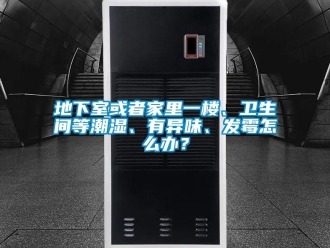 企業新聞地下室或者家里一樓、衛生間等潮濕、有異味、發霉怎么辦？