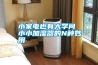 小家電也有大學問 小小加濕器的N種妙用