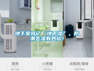 企業新聞地下室成了“地下濕”，防潮去濕有妙招！