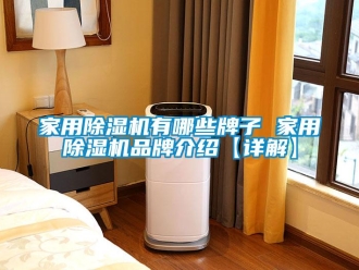 企業(yè)新聞家用除濕機有哪些牌子 家用除濕機品牌介紹【詳解】