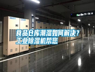 知識百科食品倉庫潮濕如何解決？工業除濕機幫您