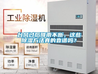 企業新聞臺風過后降雨不斷，這些除濕方法真的靠譜嗎？