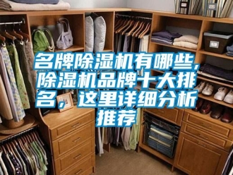企業新聞名牌除濕機有哪些,除濕機品牌十大排名，這里詳細分析推薦