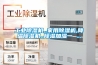 除濕機的清潔技巧 除濕機的工作原理