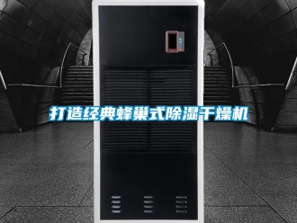 行業新聞打造經典蜂巢式除濕干燥機