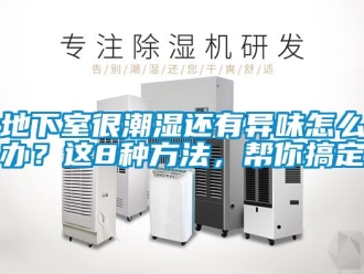 企業新聞地下室很潮濕還有異味怎么辦？這8種方法，幫你搞定