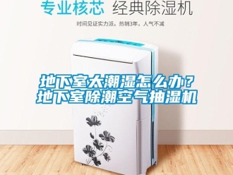 企業(yè)新聞地下室太潮濕怎么辦？地下室除潮空氣抽濕機(jī)