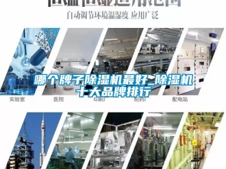 企業新聞哪個牌子除濕機最好_除濕機十大品牌排行