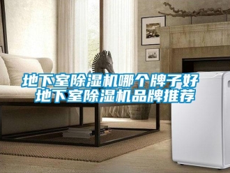 企業新聞地下室除濕機哪個牌子好 地下室除濕機品牌推薦