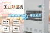 恒溫恒濕展柜 恒溫恒濕控制系統(tǒng) 恒溫恒濕柜工作原理 深圳鴻奕設(shè)備