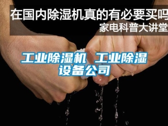 常見問題工業除濕機 工業除濕設備公司